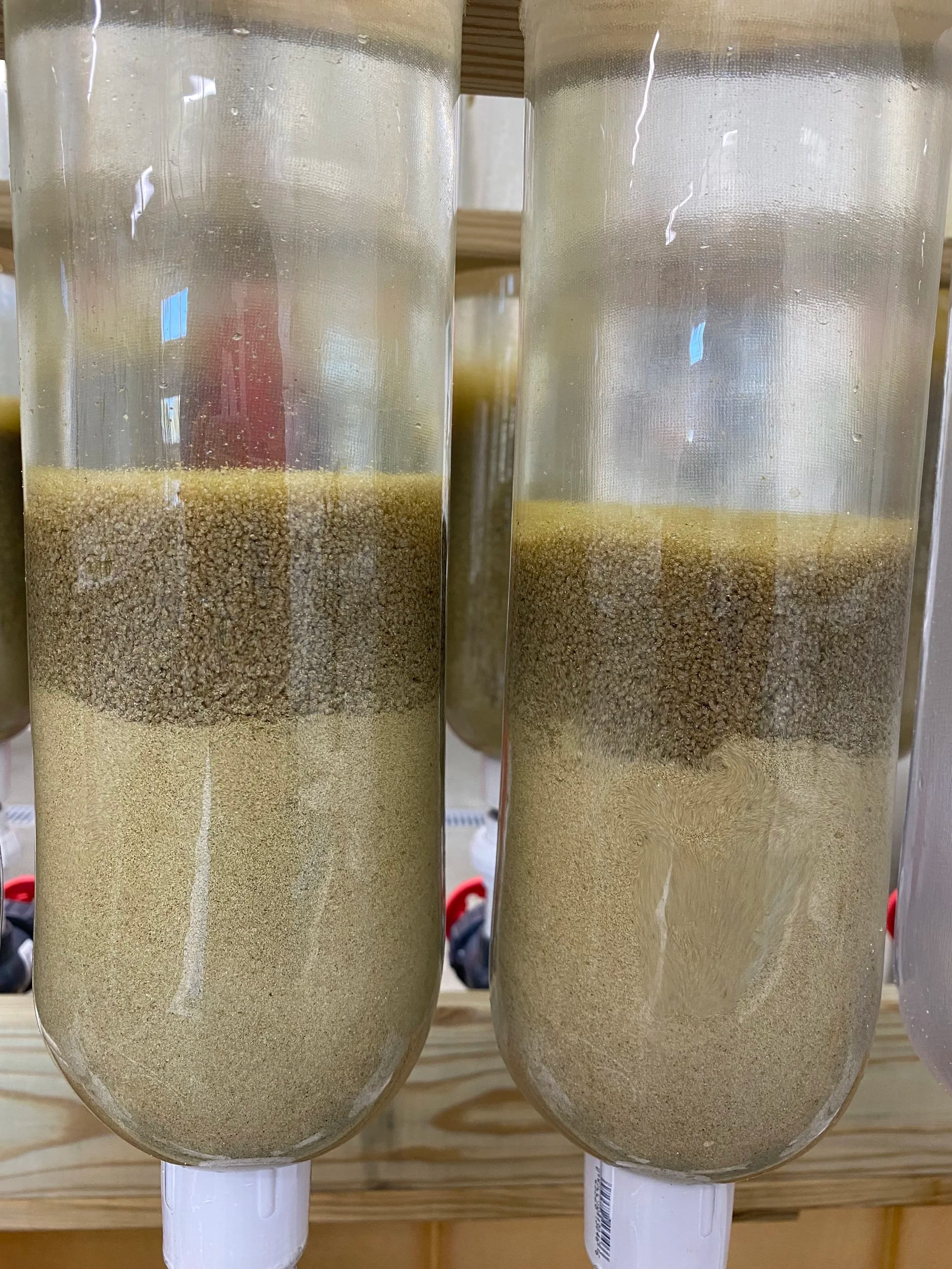 Microalgae production at the Scallop Bay Shellfish hatchery
